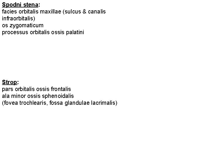 Spodni stena: facies orbitalis maxillae (sulcus & canalis infraorbitalis) os zygomaticum processus orbitalis ossis