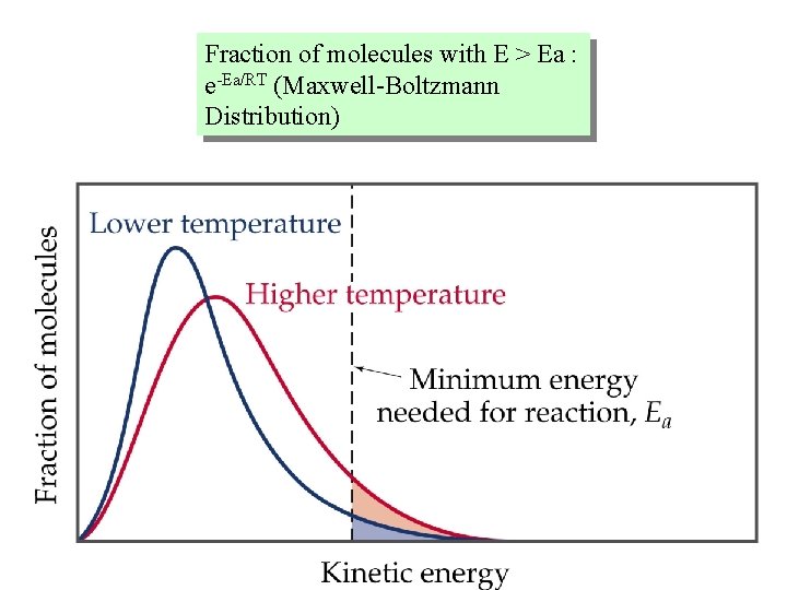 Fraction of molecules with E > Ea : e-Ea/RT (Maxwell-Boltzmann Distribution) 