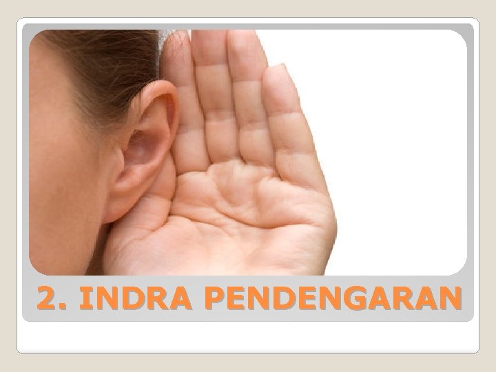 2. INDRA PENDENGARAN 