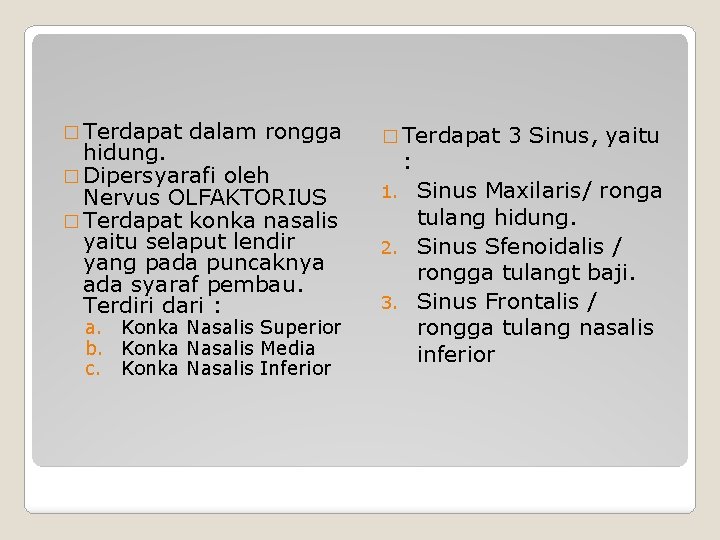 � Terdapat dalam rongga hidung. � Dipersyarafi oleh Nervus OLFAKTORIUS � Terdapat konka nasalis