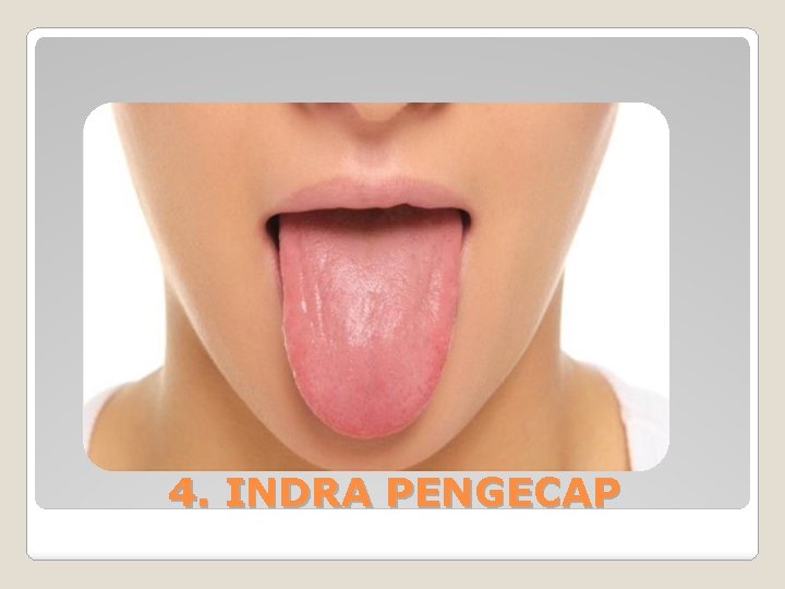 4. INDRA PENGECAP 