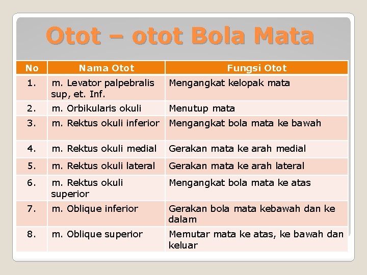 Otot – otot Bola Mata No Nama Otot Fungsi Otot 1. m. Levator palpebralis