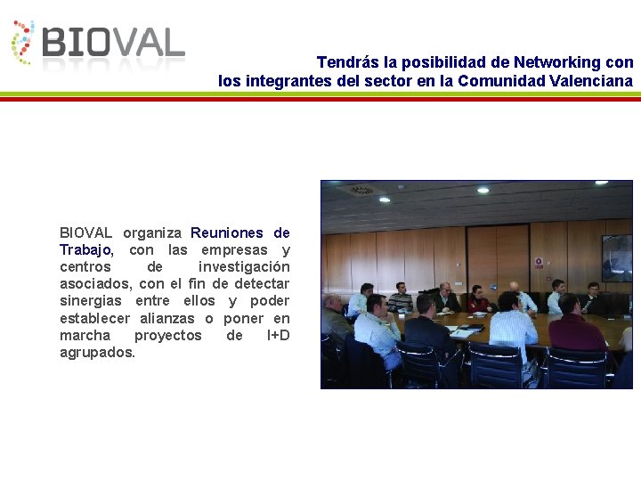 Tendrás la posibilidad de Networking con los integrantes del sector en la Comunidad Valenciana