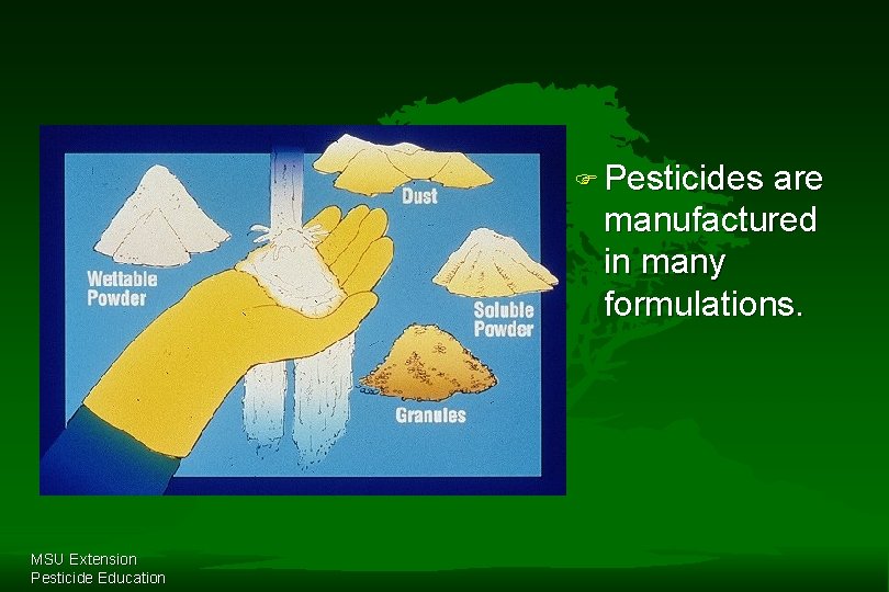 F Pesticides are manufactured in many formulations. MSU Extension Pesticide Education 