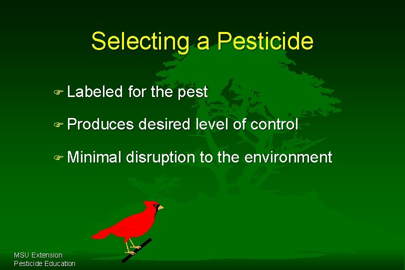 Selecting a Pesticide F Labeled for the pest F Produces F Minimal MSU Extension