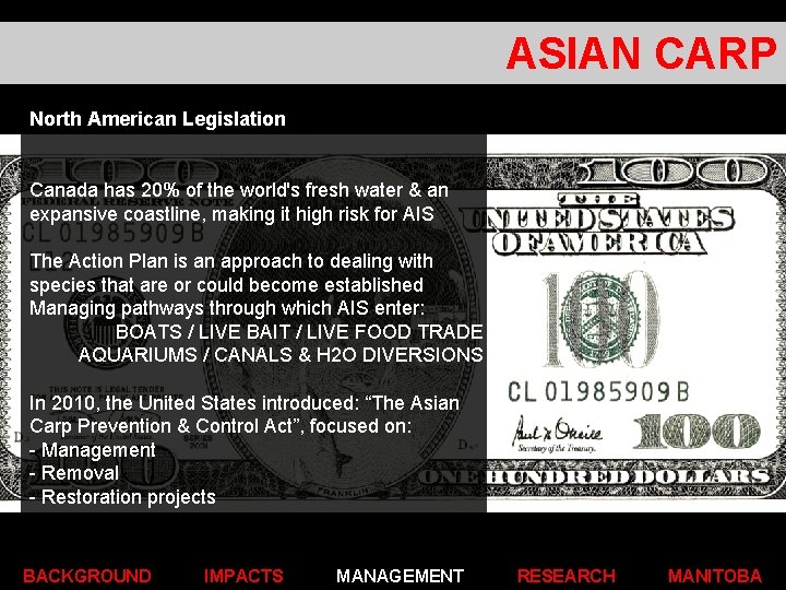 ASIAN CARP North American Legislation Canada has 20% of the world's fresh water &