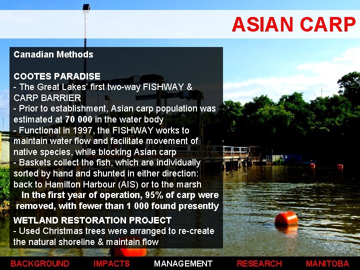 ASIAN CARP Canadian Methods COOTES PARADISE - The Great Lakes’ first two-way FISHWAY &