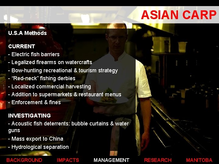 ASIAN CARP U. S. A Methods CURRENT - Electric fish barriers - Legalized firearms