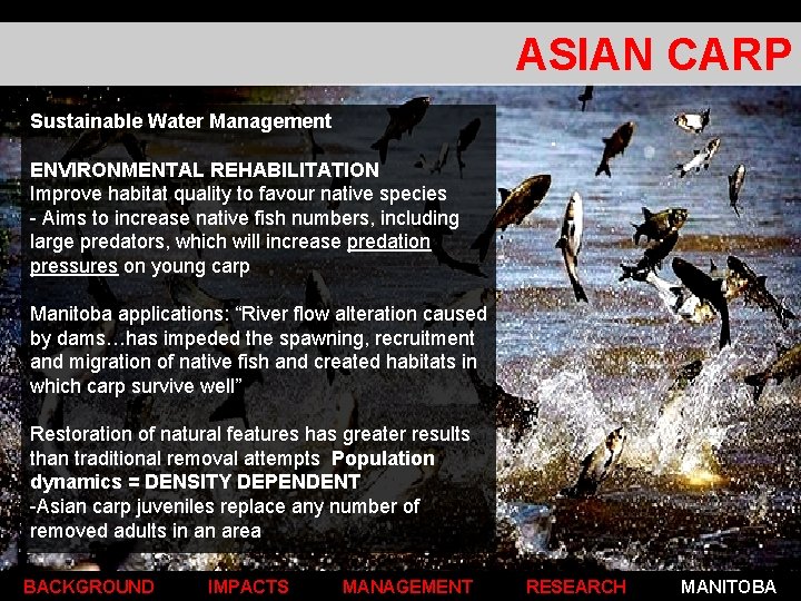 ASIAN CARP Sustainable Water Management ENVIRONMENTAL REHABILITATION Improve habitat quality to favour native species