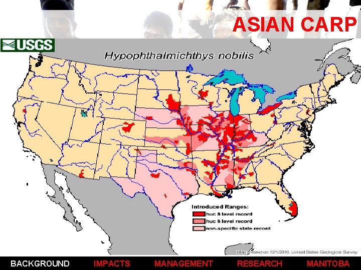 ASIAN CARP Origin, Introduction & Distribution ORIGIN: Native to expansive pacific drainages in eastern