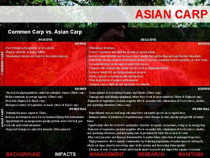ASIAN CARP Common Carp vs. Asian Carp POSITIVE NEGATIVE ASIAN CARP COMMON CARP KNOWN