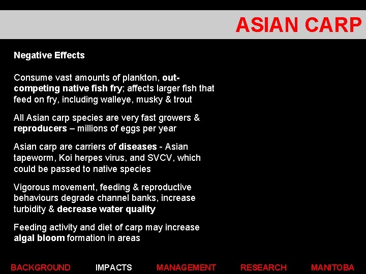 ASIAN CARP Negative Effects Consume vast amounts of plankton, outcompeting native fish fry; affects