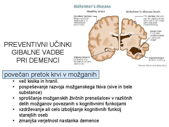 PREVENTIVNI UČINKI GIBALNE VADBE PRI DEMENCI povečan pretok krvi v možganih • več kisika