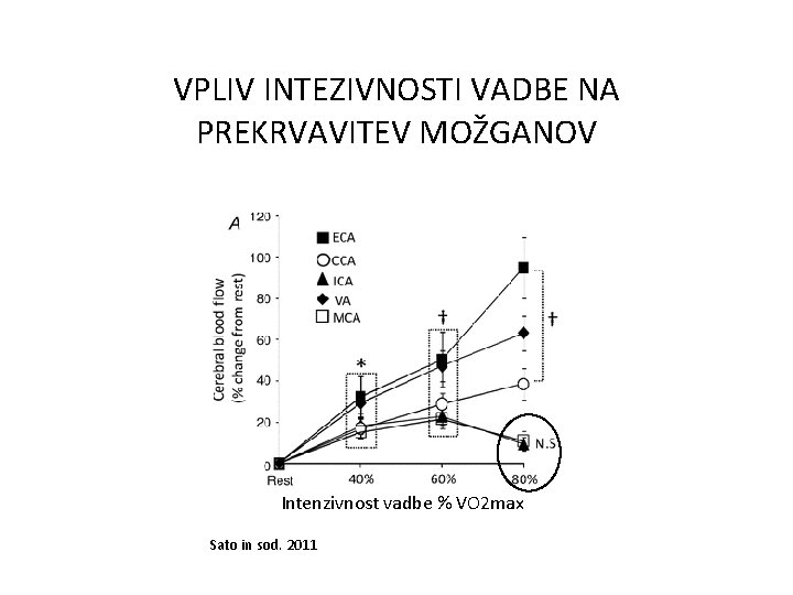 VPLIV INTEZIVNOSTI VADBE NA PREKRVAVITEV MOŽGANOV Intenzivnost vadbe % VO 2 max Sato in