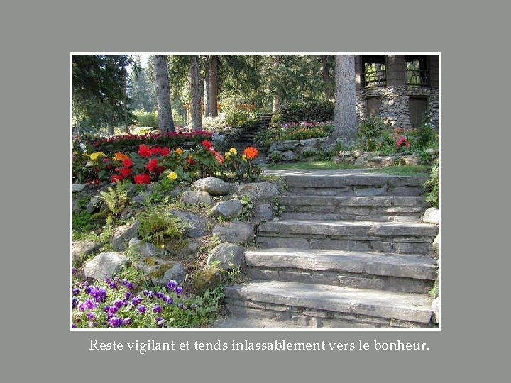 Reste vigilant et tends inlassablement vers le bonheur. 