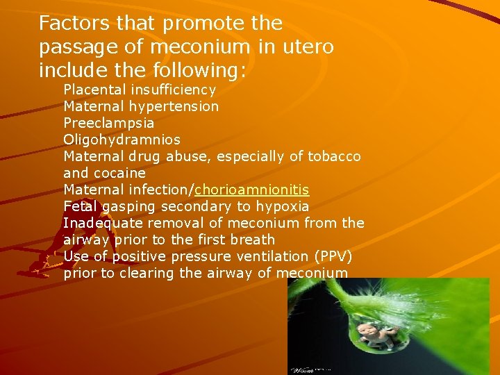 Factors that promote the passage of meconium in utero include the following: Placental insufficiency