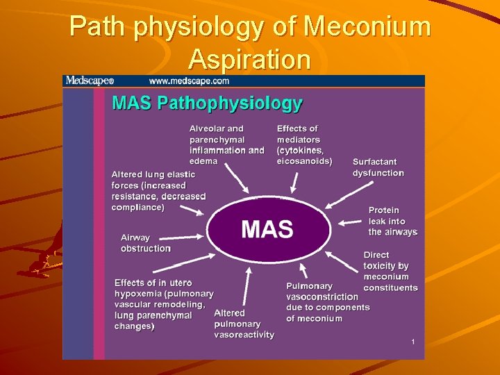 Path physiology of Meconium Aspiration 