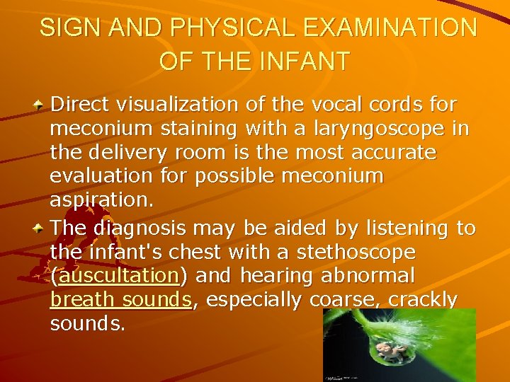 SIGN AND PHYSICAL EXAMINATION OF THE INFANT Direct visualization of the vocal cords for