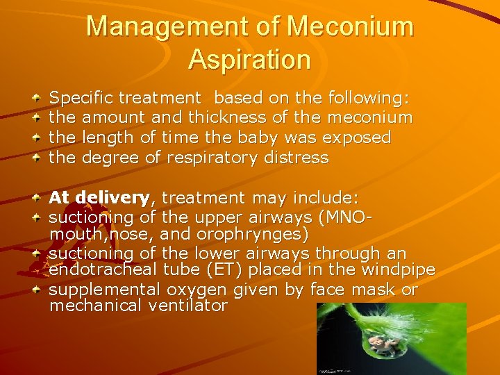 Management of Meconium Aspiration Specific treatment based on the following: the amount and thickness