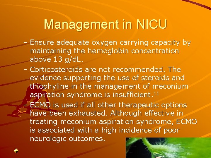 Management in NICU – Ensure adequate oxygen carrying capacity by maintaining the hemoglobin concentration