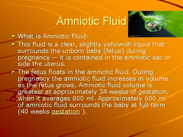 Amniotic Fluid What is Amniotic Fluid. This fluid is a clear, slightly yellowish liquid