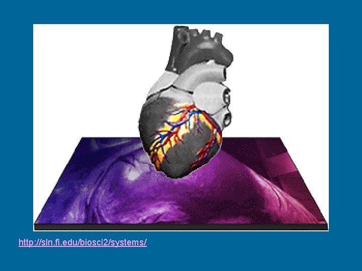 http: //sln. fi. edu/biosci 2/systems/ 