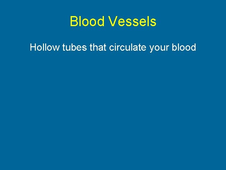 Blood Vessels Hollow tubes that circulate your blood 