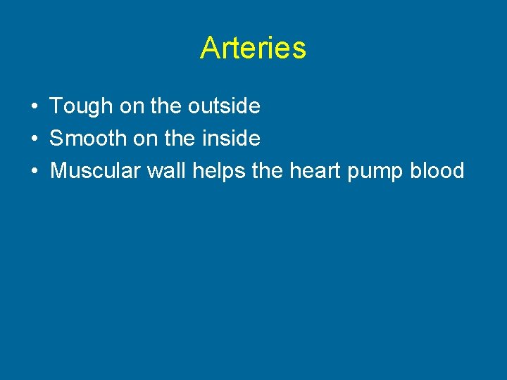 Arteries • Tough on the outside • Smooth on the inside • Muscular wall