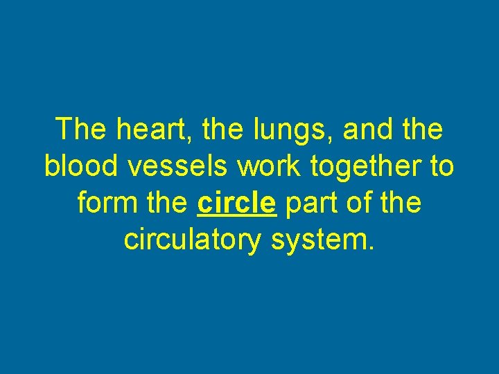 The heart, the lungs, and the blood vessels work together to form the circle