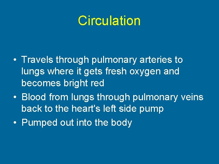 Circulation • Travels through pulmonary arteries to lungs where it gets fresh oxygen and