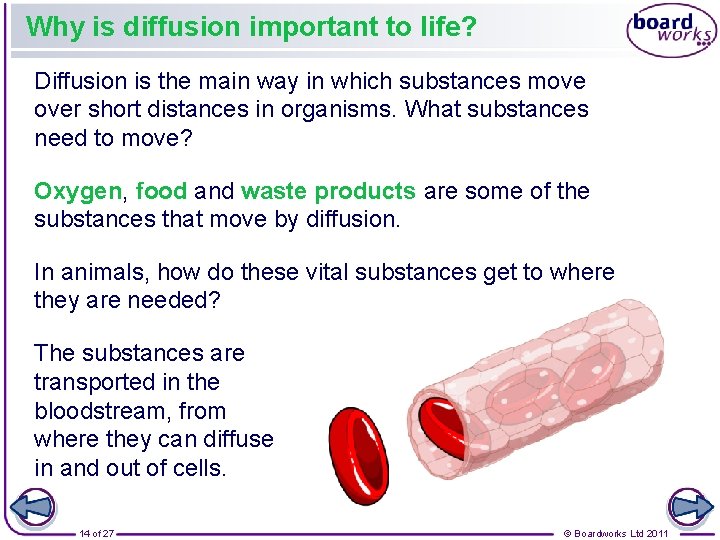 Why is diffusion important to life? Diffusion is the main way in which substances