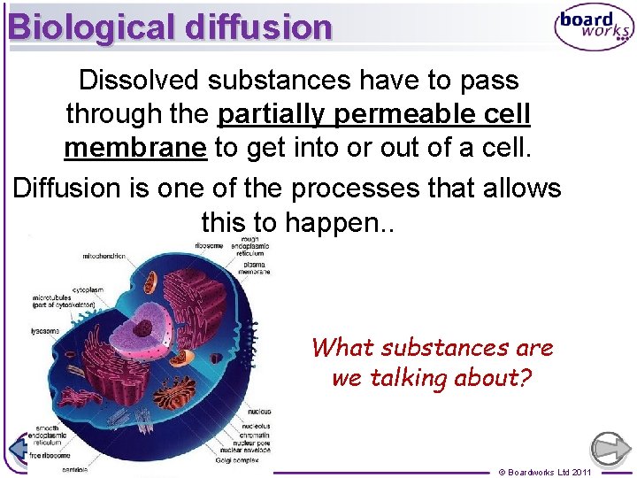 Biological diffusion Dissolved substances have to pass through the partially permeable cell membrane to