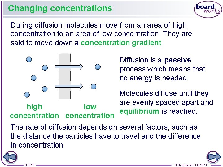 Changing concentrations During diffusion molecules move from an area of high concentration to an