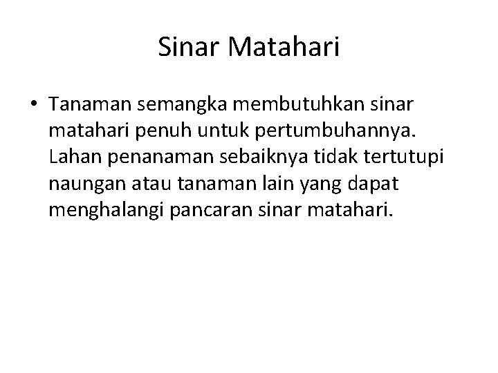 Sinar Matahari • Tanaman semangka membutuhkan sinar matahari penuh untuk pertumbuhannya. Lahan penanaman sebaiknya