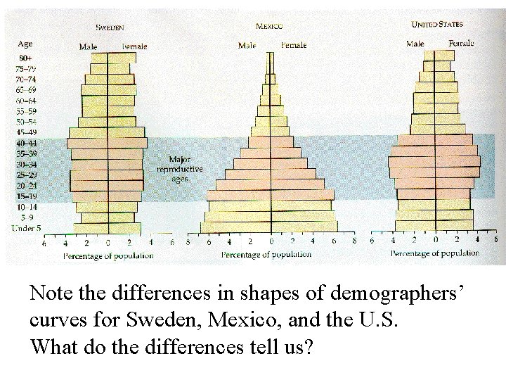 Note the differences in shapes of demographers’ curves for Sweden, Mexico, and the U.