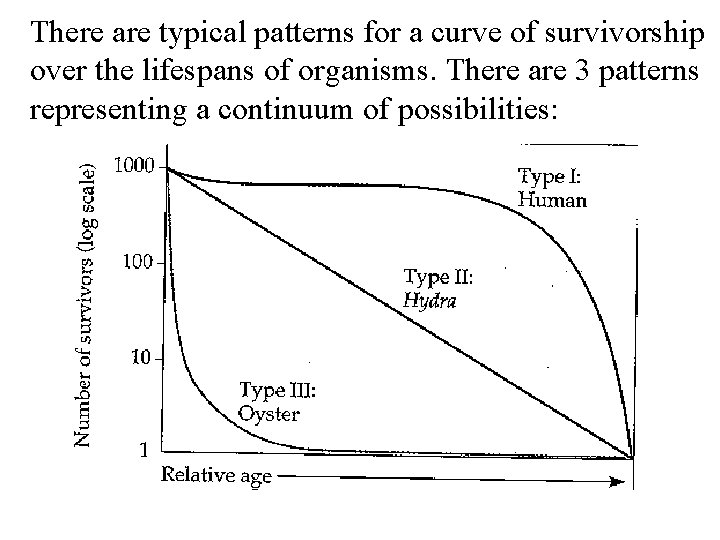 There are typical patterns for a curve of survivorship over the lifespans of organisms.