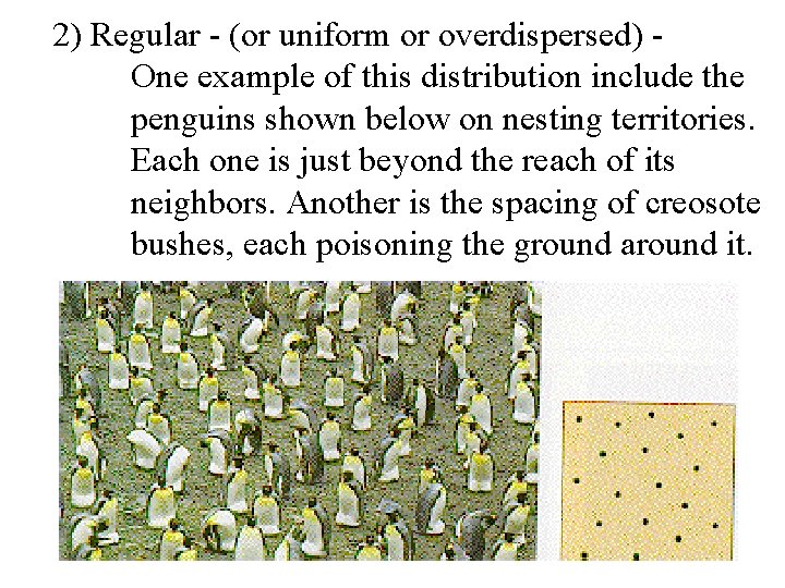 2) Regular - (or uniform or overdispersed) One example of this distribution include the