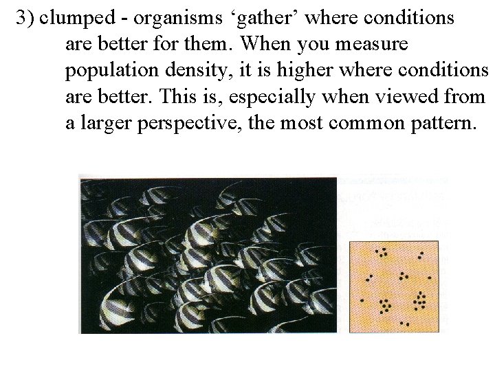 3) clumped - organisms ‘gather’ where conditions are better for them. When you measure