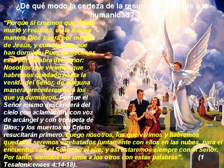 ¿De qué modo la certeza de la resurrección divide a la humanidad? “Porque si