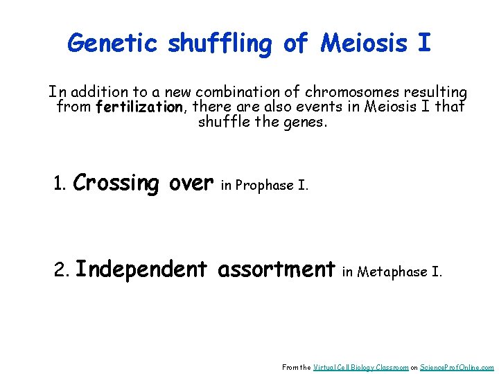 Genetic shuffling of Meiosis I In addition to a new combination of chromosomes resulting