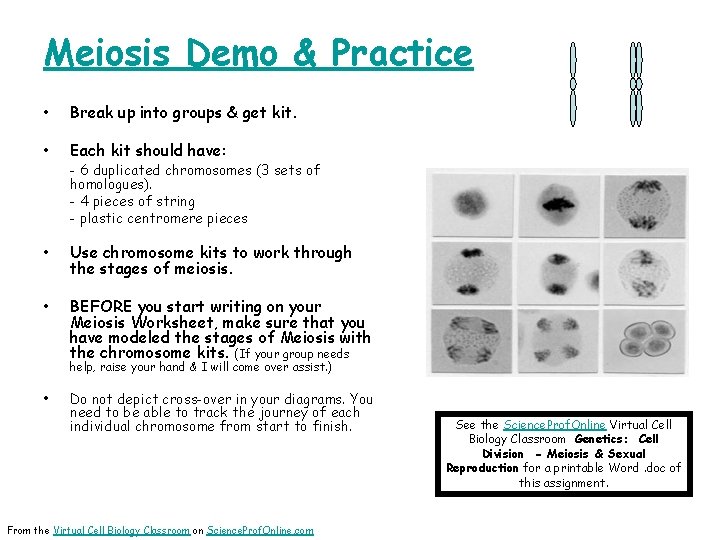 Meiosis Demo & Practice • Break up into groups & get kit. • Each