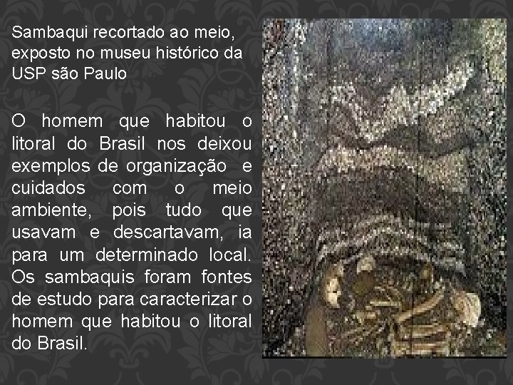 Sambaqui recortado ao meio, exposto no museu histórico da USP são Paulo O homem
