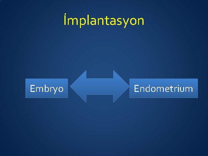 İmplantasyon Embryo Endometrium 