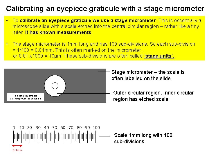 Calibrating an eyepiece graticule with a stage micrometer • To calibrate an eyepiece graticule