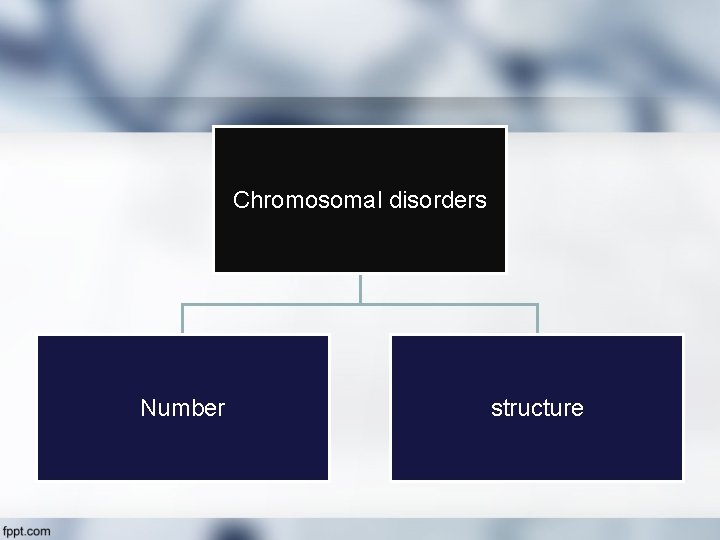 Chromosomal disorders Number structure 