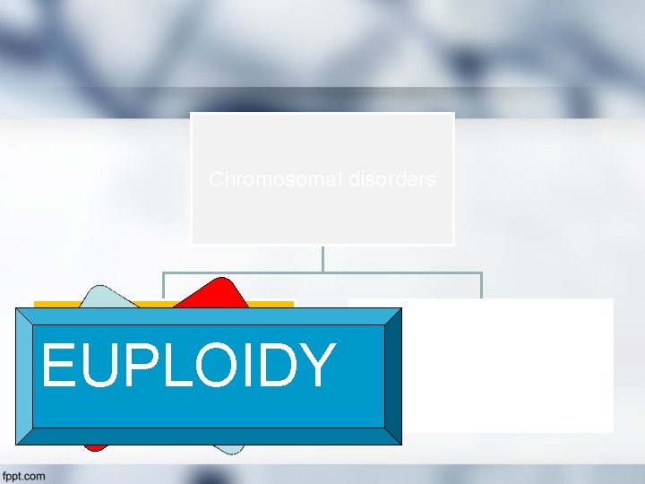 Chromosomal disorders Y X EUPLOIDY , 6 4 Number structure 