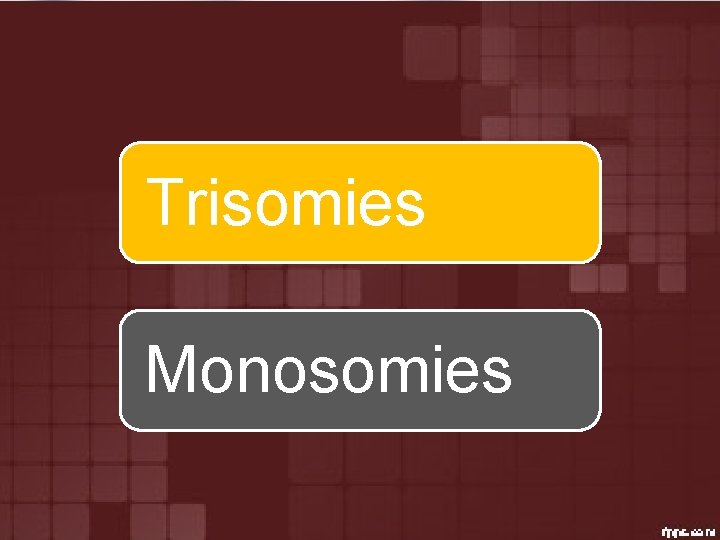 Trisomies Monosomies 