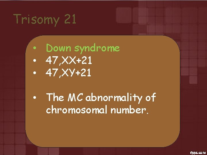 Trisomy 21 • Down syndrome • 47, XX+21 • 47, XY+21 • The MC