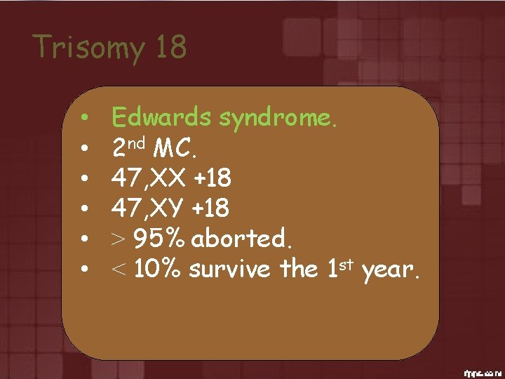 Trisomy 18 • • • Edwards syndrome. 2 nd MC. 47, XX +18 47,