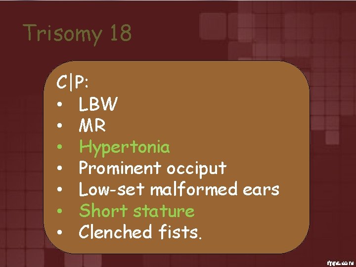 Trisomy 18 C|P: • LBW • MR • Hypertonia • Prominent occiput • Low-set